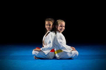 Little girls martial arts fighters