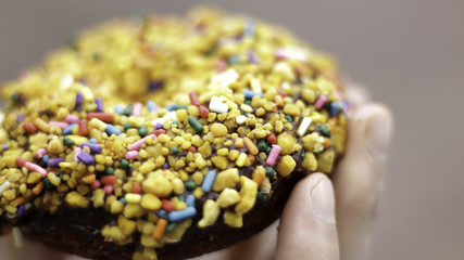 Chocolate Donut with Multi-Colored Topping