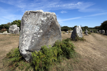 Megaliths of Kerherzo, town of Erdeven, departament of Morbihan, Brittany, France