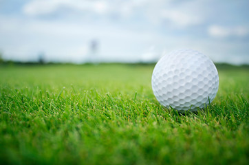 Golf ball in grass