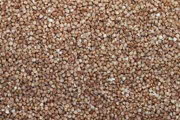buckwheat template texture