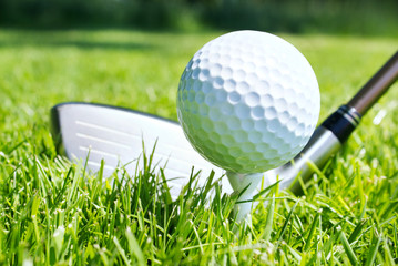 Golf club and ball in grass