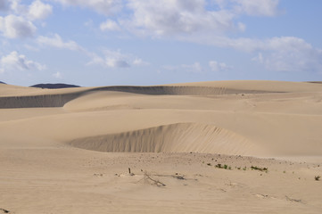 Natural-park, Corralejo , Fuerteventua, Canary Islands, Spain