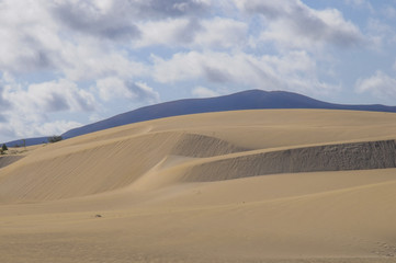Natural-park, Corralejo , Fuerteventua, Canary Islands, Spain