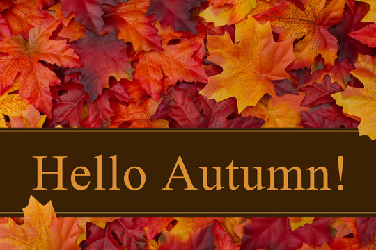 Hello Autumn message