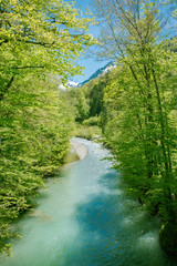 Allgäu - Gebirge, Gebirgsbach fließst durch einen Wald im Frühjahr