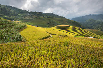 Beautiful landscape rice fields on terraced of Mu Cang Chai