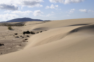Fototapeta na wymiar Natural-park, Corralejo , Fuerteventua, Canary Islands, Spain