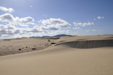 Fototapeta na wymiar Natural-park, Corralejo , Fuerteventua, Canary Islands, Spain