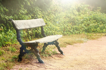 Wooden bench in the forest