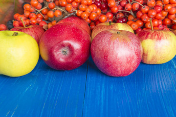 Red and yellow apples and raw berries on a blue wooden background