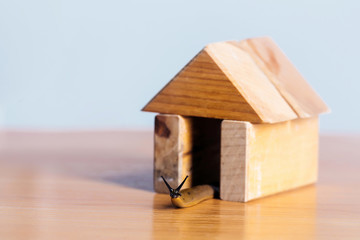 Obraz na płótnie Canvas Slug in wooden house