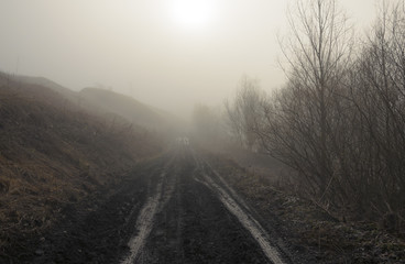 Springtime.Countryside road.