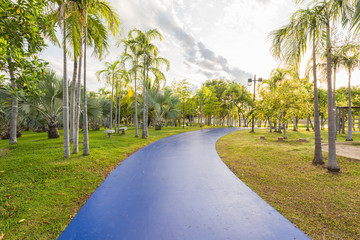 Obraz premium Landscape with blue jogging track at green park and no people