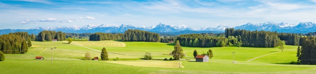 Fototapeta na wymiar Allgäuer Berg-Panorama, typische Wiesenlandschaft
