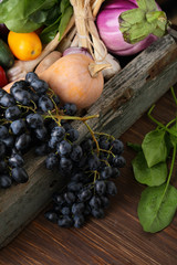Harvest of farm vegetables