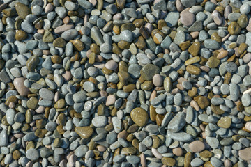 Close-up view of wet multicolored pebble as background.