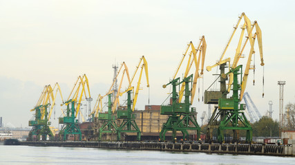 Obraz premium Tower cranes at the port.