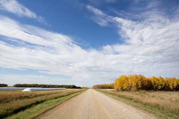 Gravel road between fields with two grain bags filled with grain with forest of autumn colored trees in rural fall countryside landscape