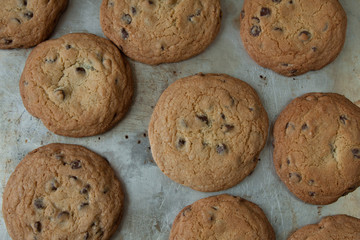 Overhead view of chocolate chip cookies on a cookie sheet