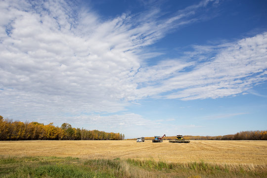 Agriculture equipment parked in a row on a harvested field surrounded by forest of trees in rural autumn landscape in saskatchewan