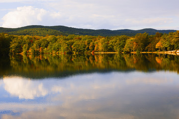 Fall landscape on the forest lake.