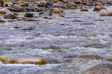 Majestic mountain river in Canada.