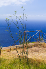 Obraz premium Beautiful views of the coast of the island. Madeira. Portugal