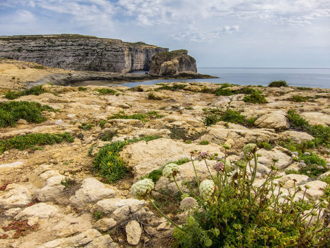 Dwejra Fungus Rock Gozo