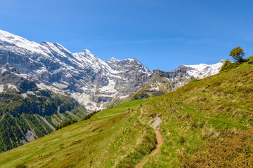 Beautiful landscape of valley in Alpine mountains, small trail, hike root, majestic picturesque view in sunny day