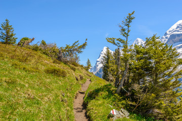 Beautiful landscape of valley in Alpine mountains, small trail, hike root, majestic picturesque view in sunny day