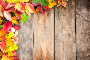 Naklejka na ściany i meble Herbstlaub auf Holzuntergrund