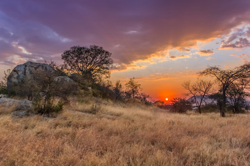 Coucher de soleil de safari en Tanzanie, Afrique