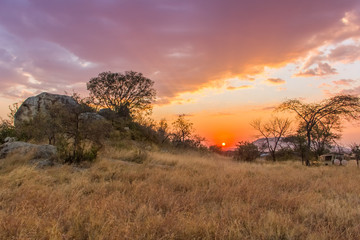 Coucher de soleil de safari en Tanzanie, Afrique