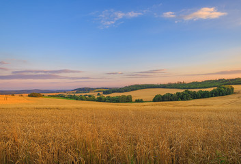 Fototapeta na wymiar Countryside, Czech Republic.