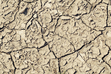 Dry soil with cracked surface