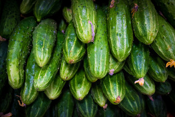 fresh green cucumber  on market