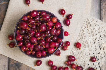  Ripe red purple berry gooseberries