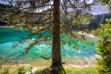 Famous Lake Carezza in Val di Fassa region, Dolomites, Italy