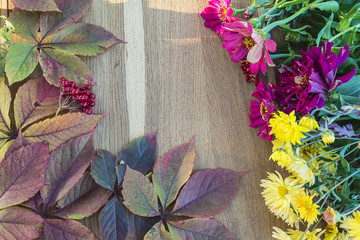 Naklejka na ściany i meble Autumn composition with Zinnias, chrysanthemum, virginia creeper on a wooden background