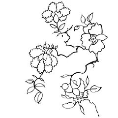 Keuken spatwand met foto Hand drawn graphic flowers © asetrova