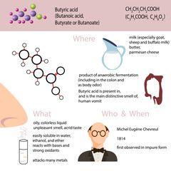 Butyric acid. Infographics. Main information about butanoic acid