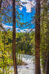 Sunwapta River & Falls, Jasper National Park, Alberta, Canada