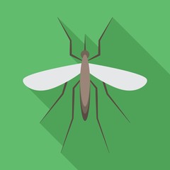 Mosquito flat icon on isolated transparent background.	