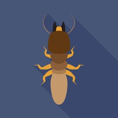 Termite flat icon on isolated transparent background.	