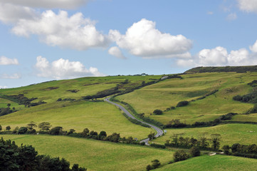 Dorset countryside in the summertime.