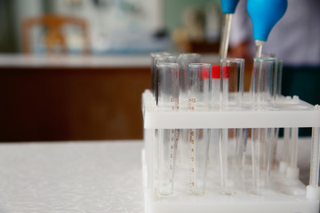 empty test tubes in laboratory on table