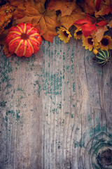 Autumn background with pumpkin on wooden table with copy space