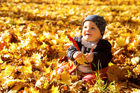 Adorable little baby child in autumn park with yellow leaves.