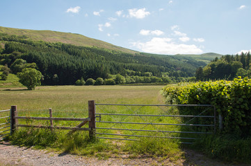 Fototapeta na wymiar Agricultural farm gate in the Wales countryside.